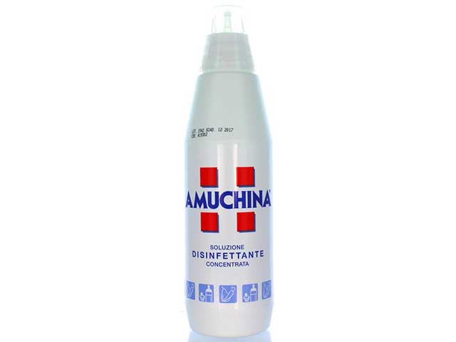 Amuchina persona 100% 1lt$