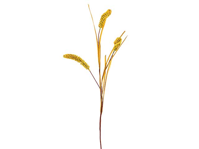 Spiga arancio 93cm a24045