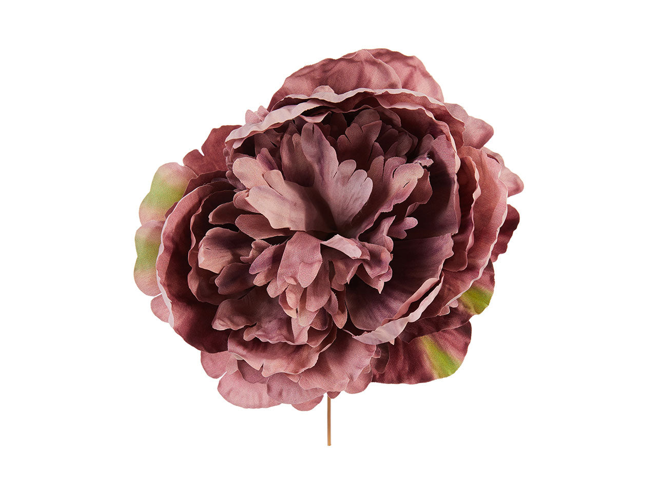 Pick peonia misura d18xh18cm colore rosa antico
