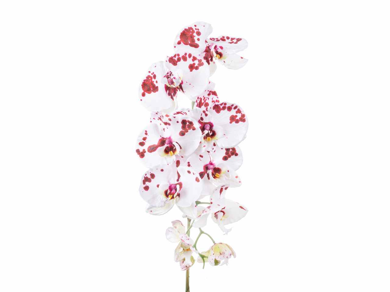 Orchidea 96cm burgundy a26516