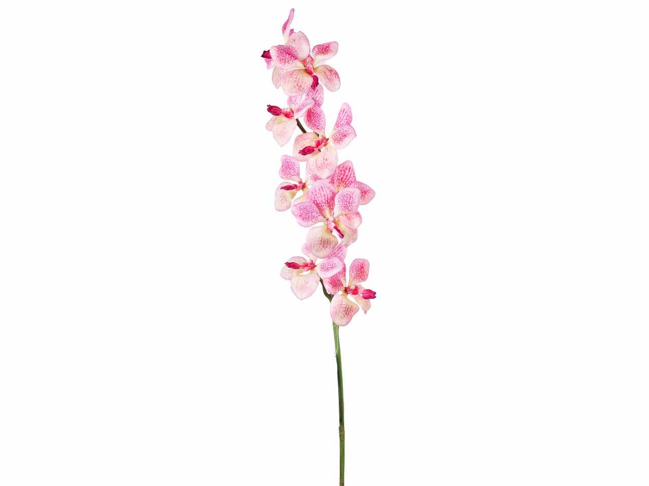 Orchidea wanda 92cm rosa a26517