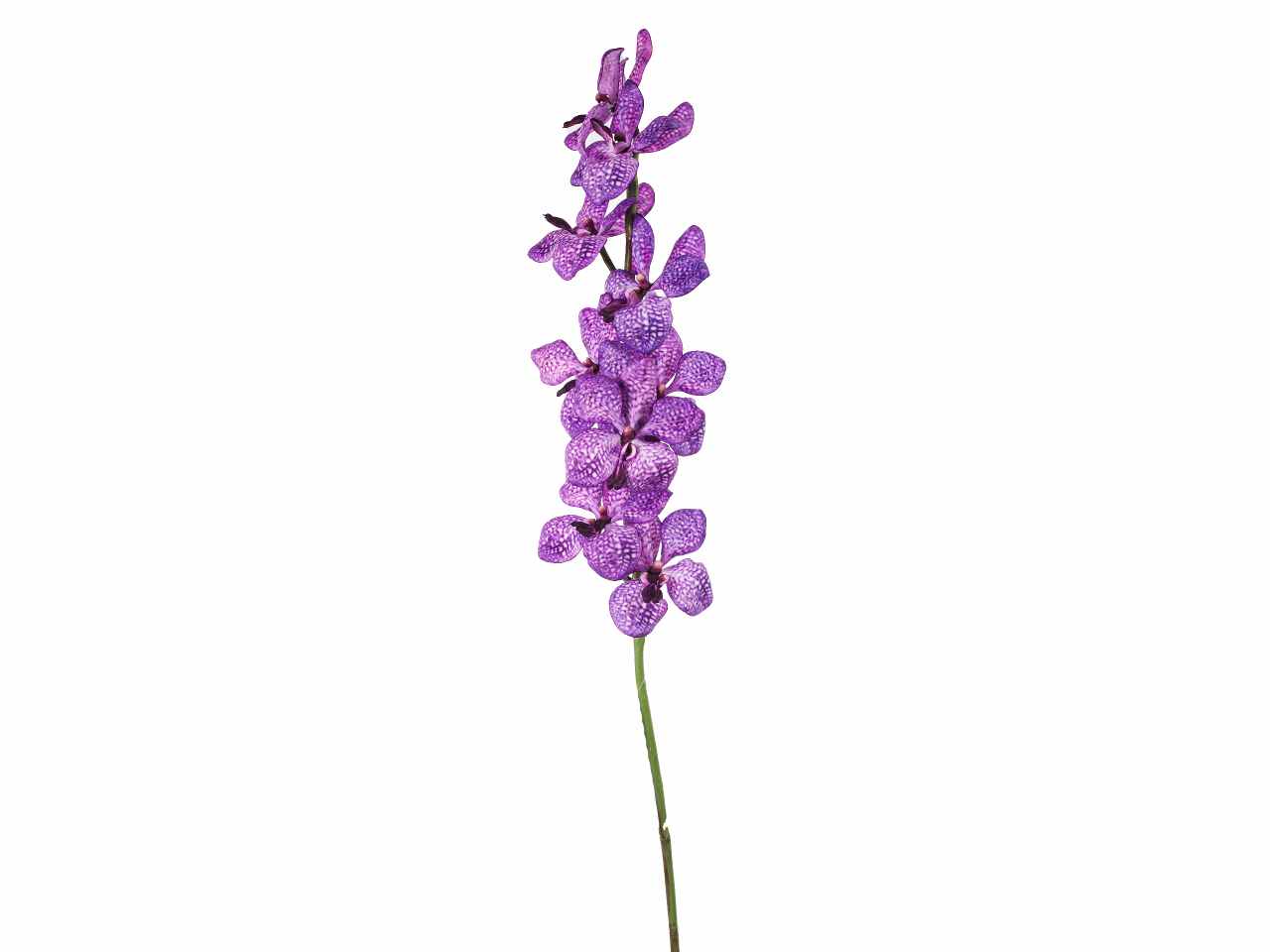 Orchidea wanda 92cm viola a26517