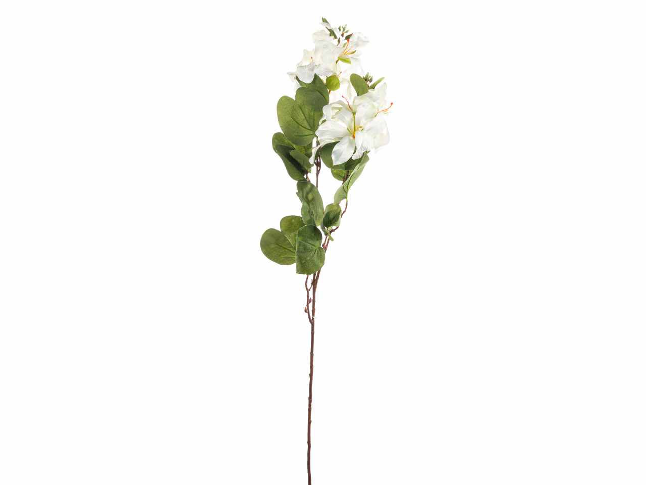 Tralcio bauhinia 90cm crema a26530