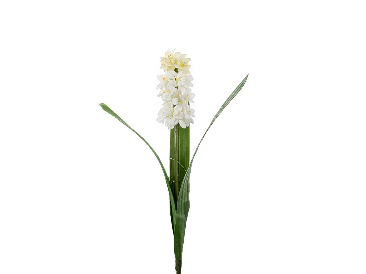 Giacinto singolo 45cm crema a26402