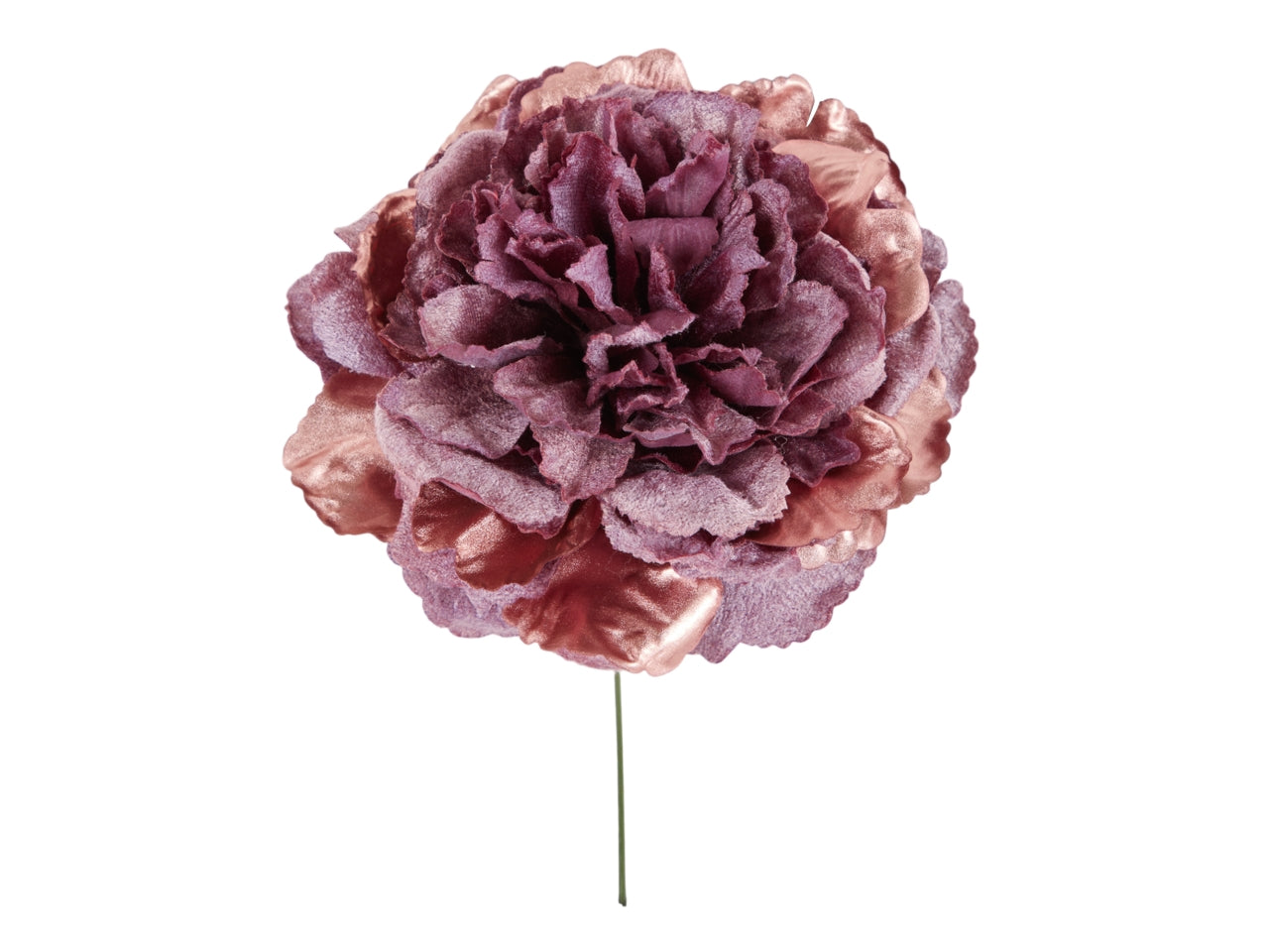 Pick peonia 23cm winter