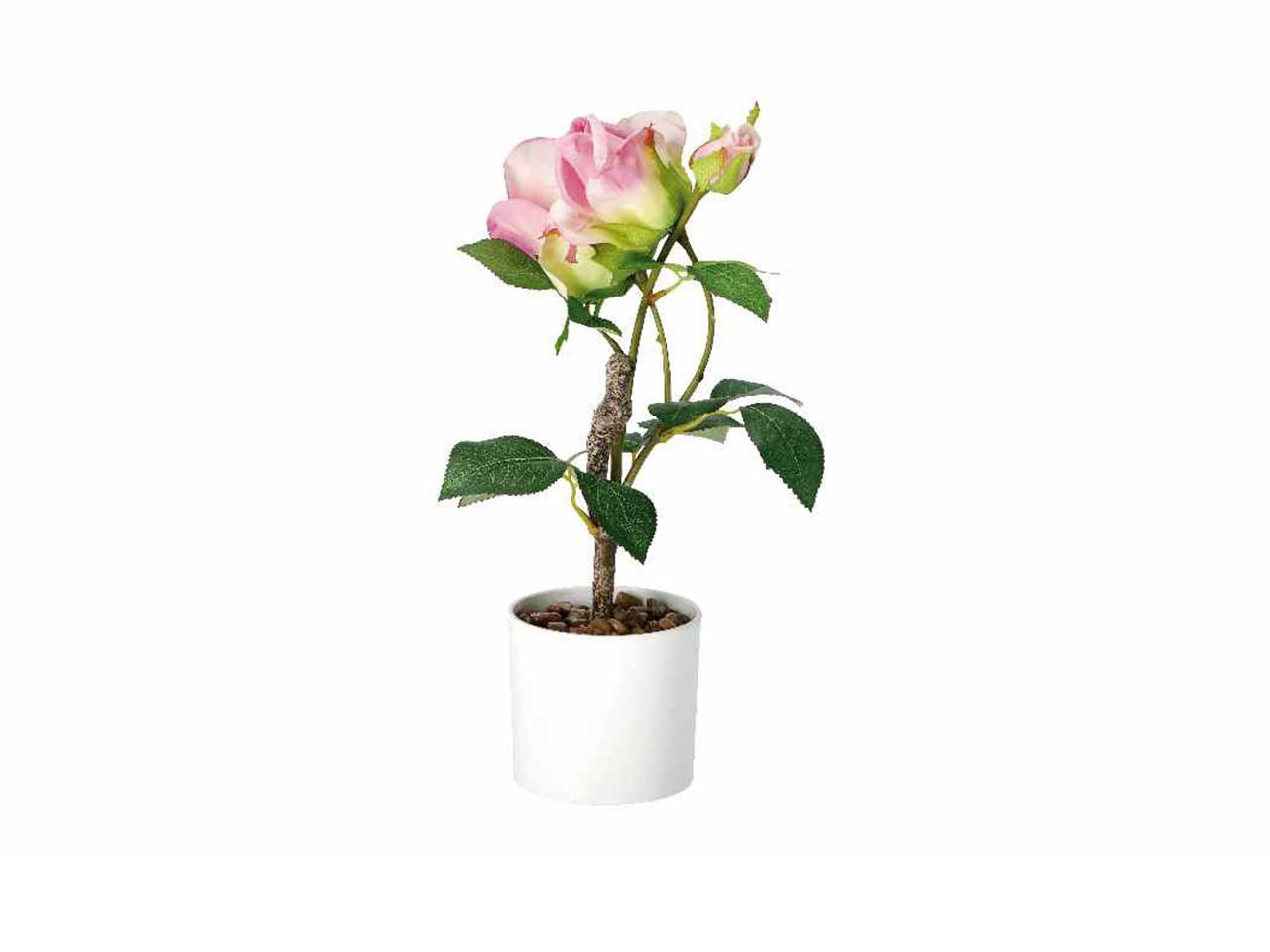 Vaso c/rose d.10xh38cm 74883