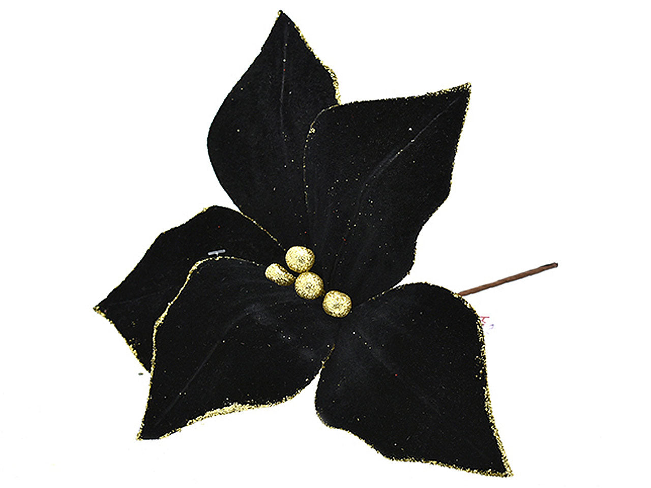 Stella di natale nera306162680