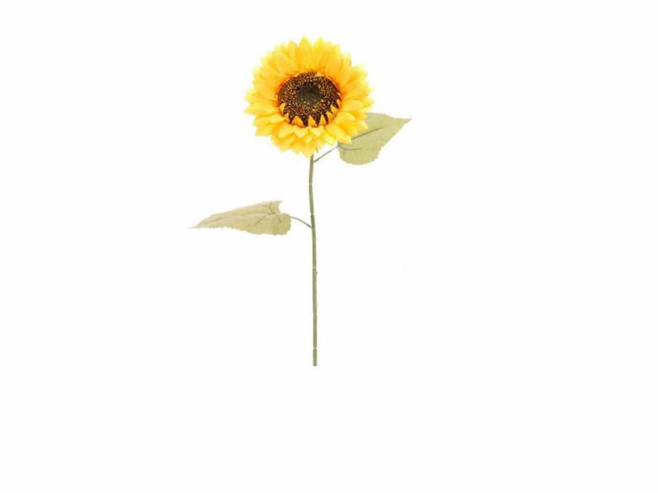 Girasole ramo singolo 75cm giallo 2fi123