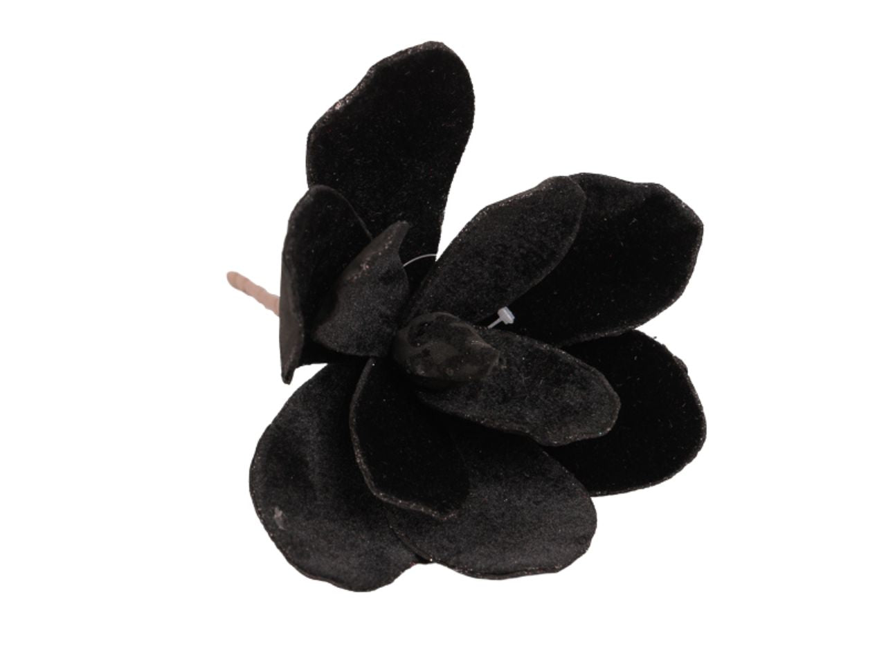 Magnolia velluto 21cm nero 1nhz1420