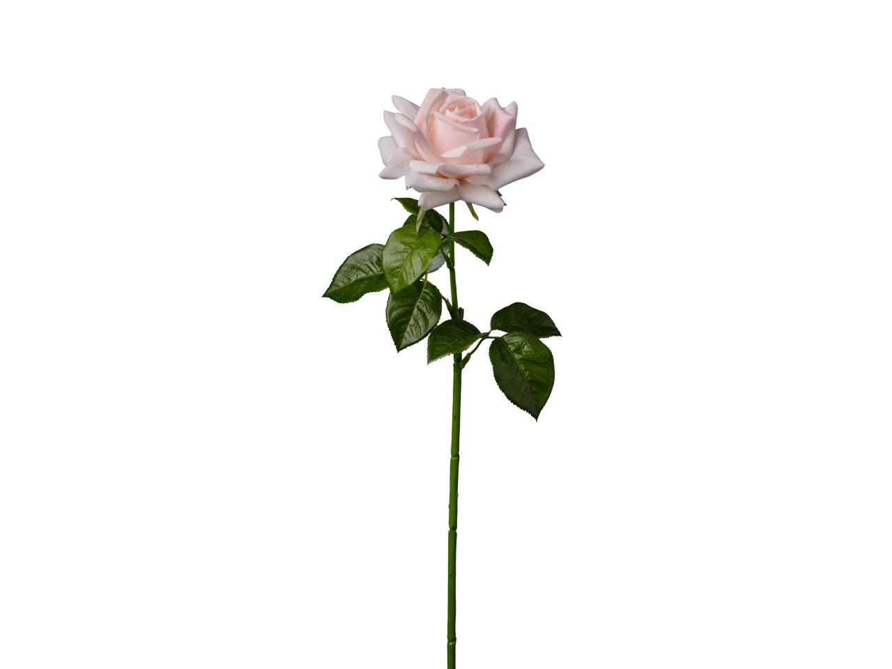 Ramo rosa singola 66cm rosa
