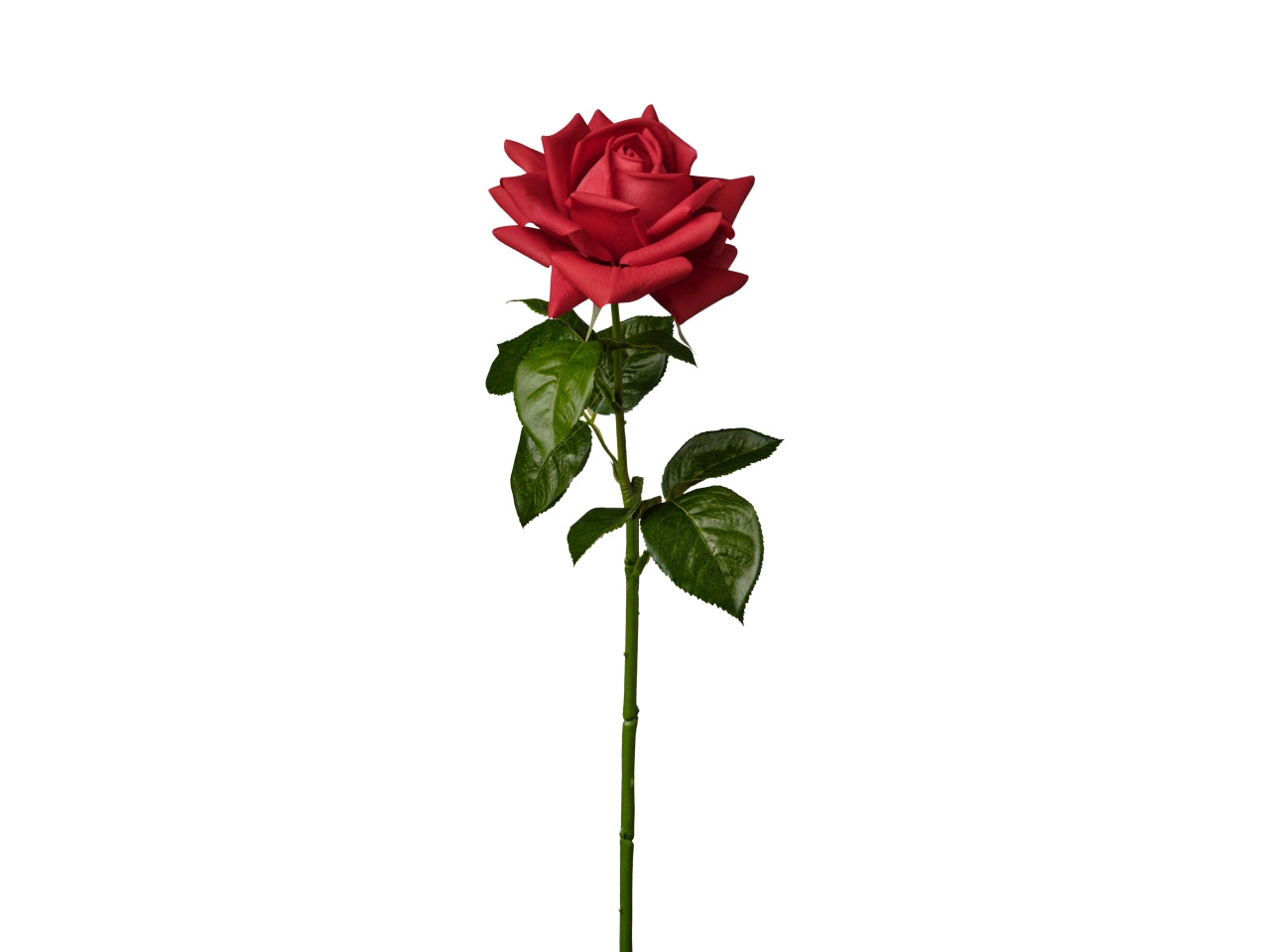 Ramo rosa singola 66cm rosso
