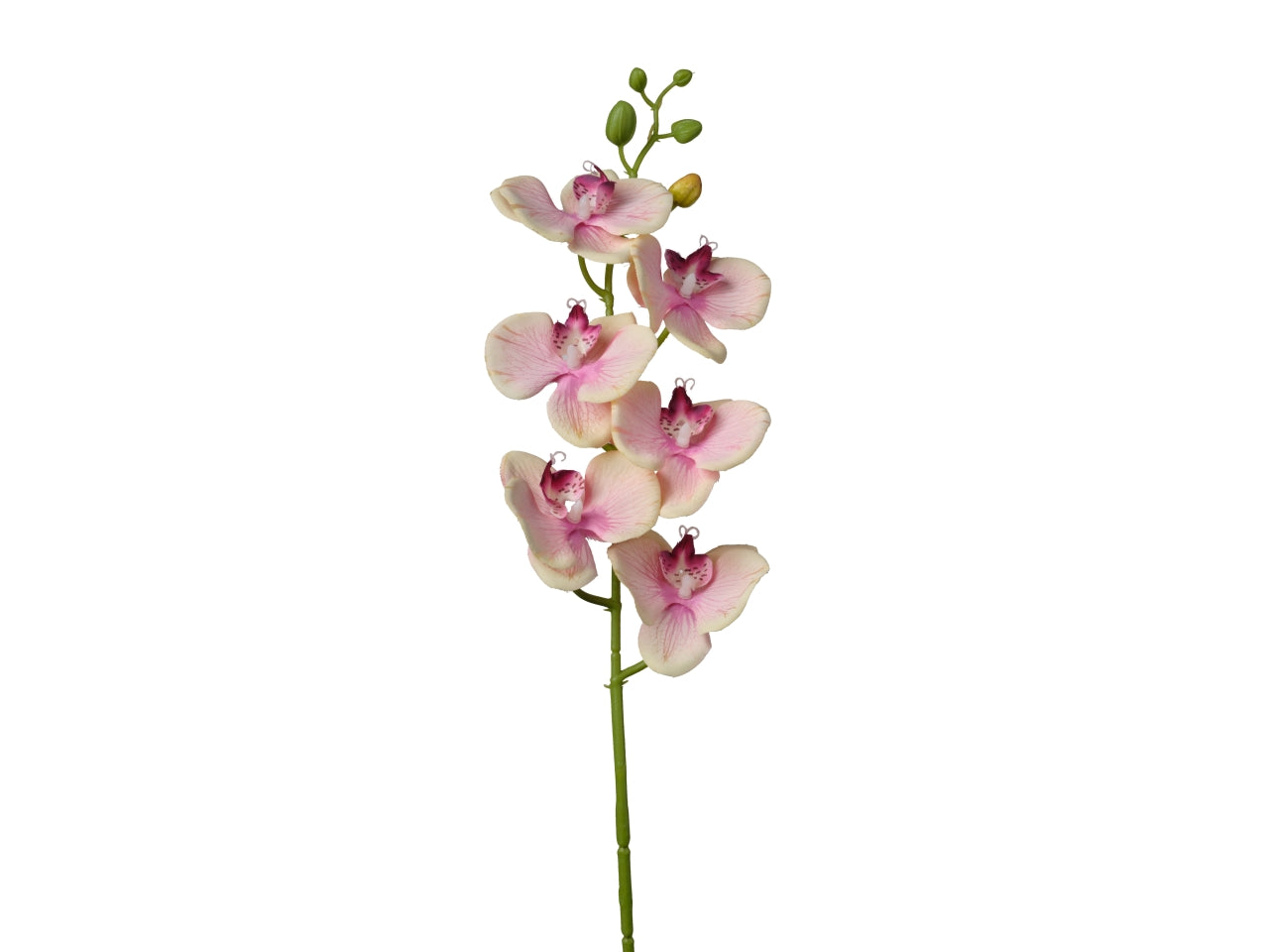 Orchidea pesca artificiale ramo semi rigido 86cm - Conti