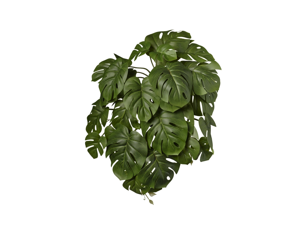 Monstera cadente artificiale in plastica verde 48x35x27 cm - Conti