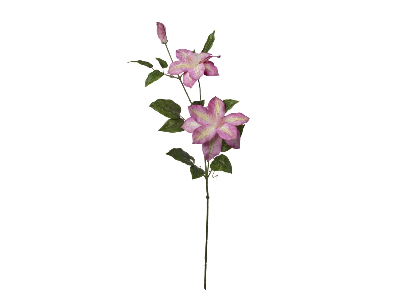 Ramo clematis 22x86cm x3 beauty