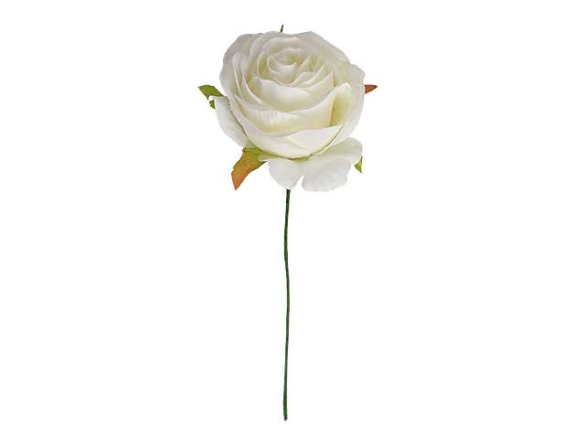 Rosa 6cm crema l18138/crm
