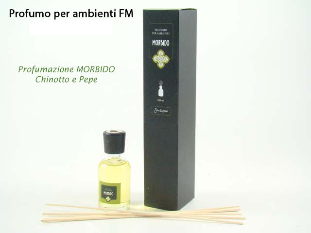 Linea morbido diffusore con bacchette 100ml ambchi100