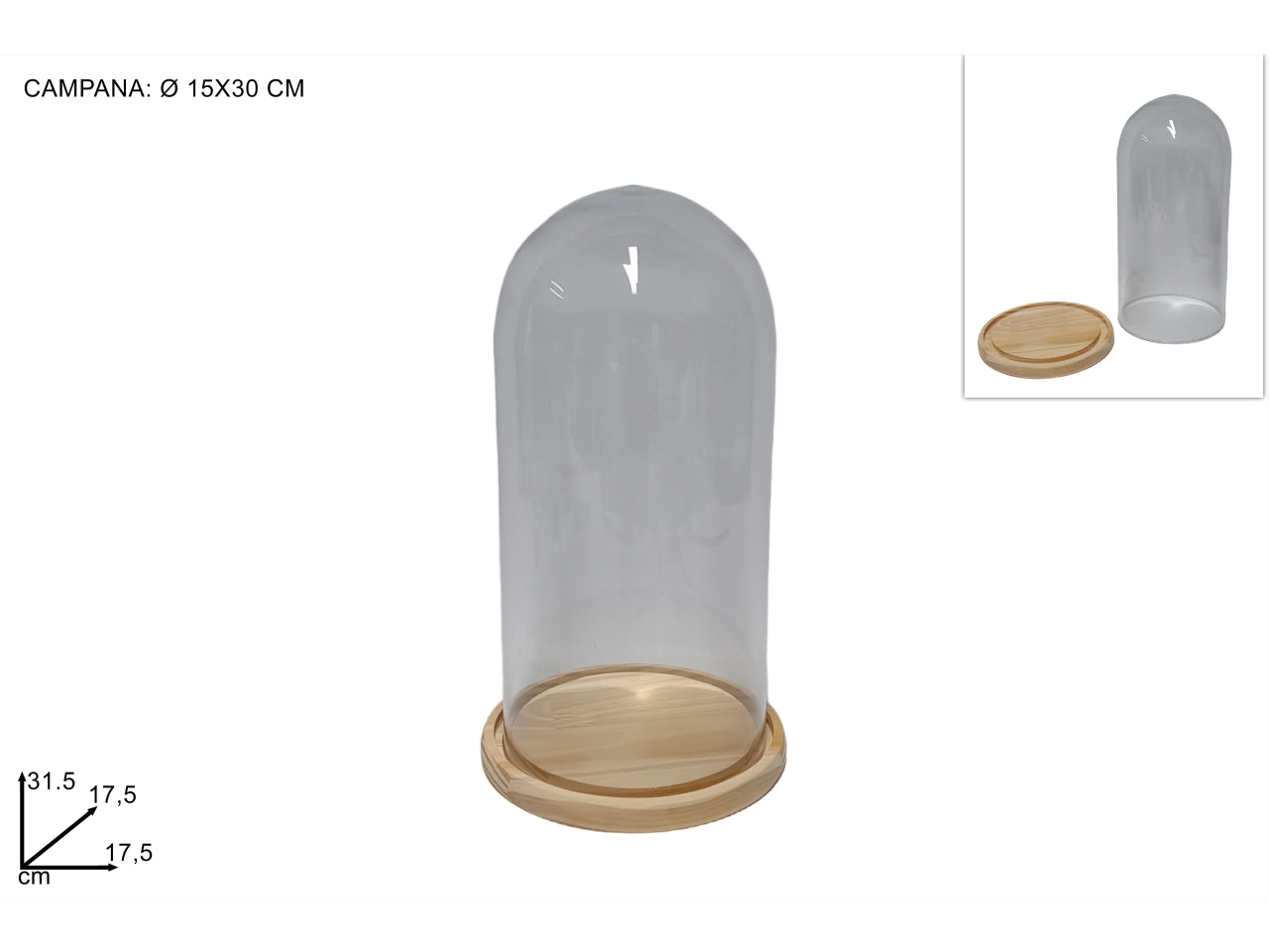 Campana in vetro con base in legno 30cm