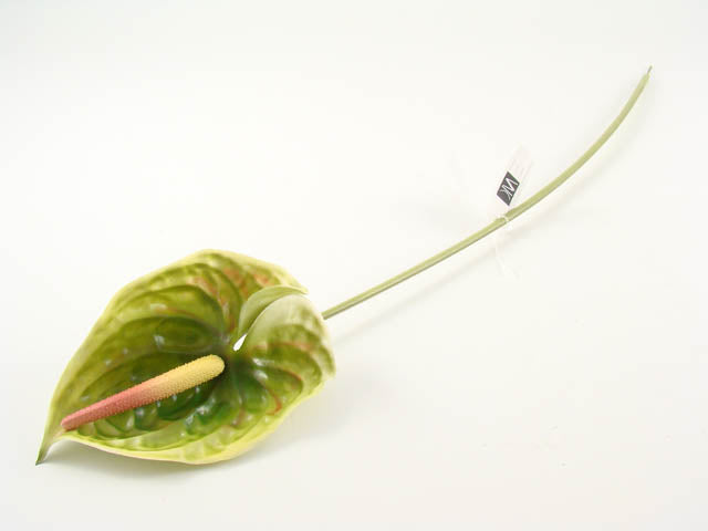 Anthurium verde 72cm 101296