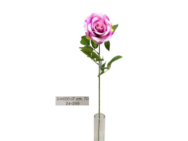 Rosa 70cm fucsia 114620