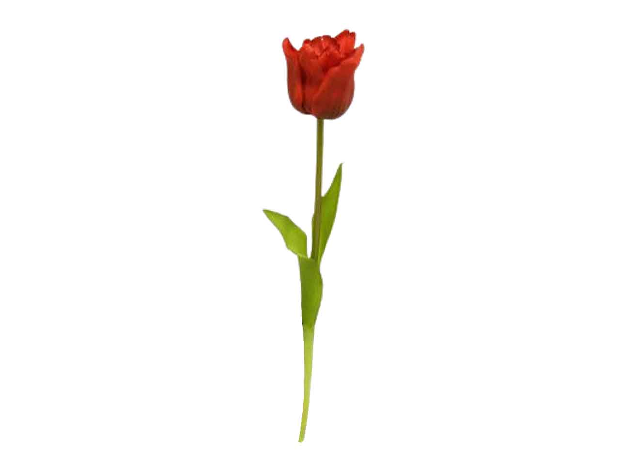 Tulipano 46cm rosso ds001935