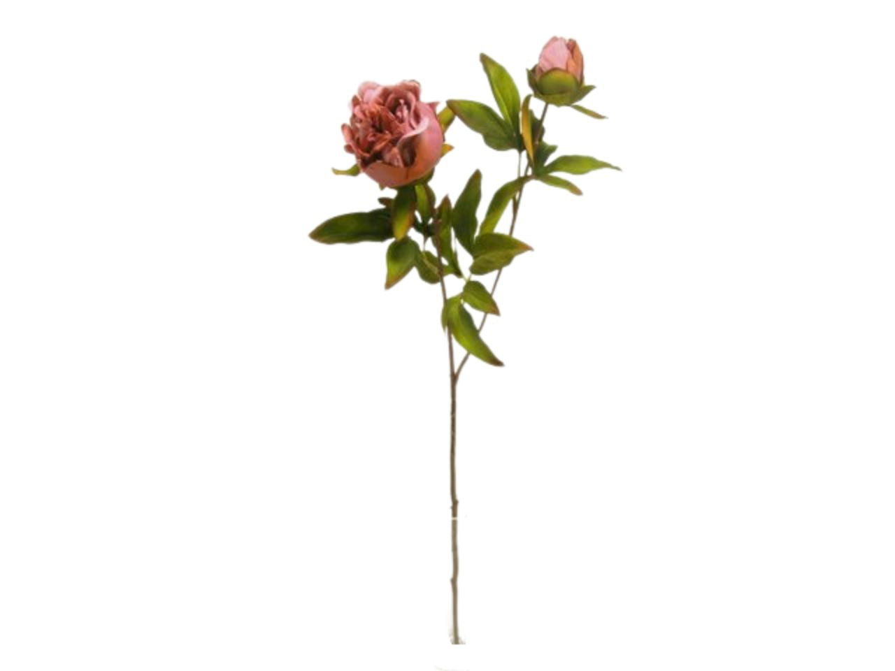 Peonia spruzzata 63cm corallo da000453