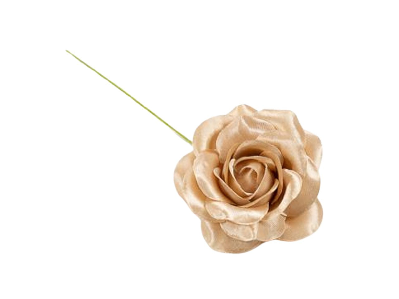 Rosa taffeta' misura 4cm beige