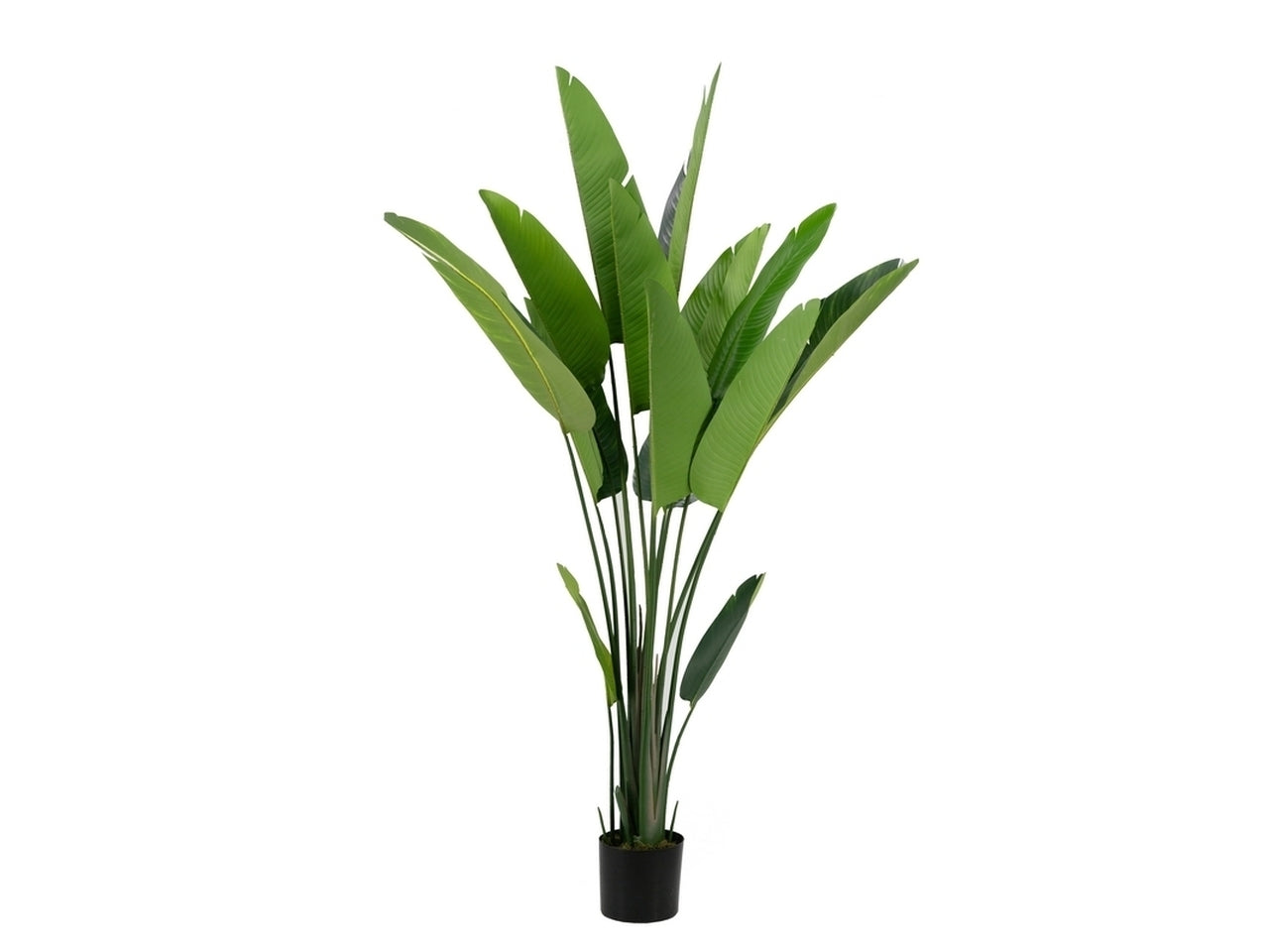 Pianta di banano h.200cm in pvc