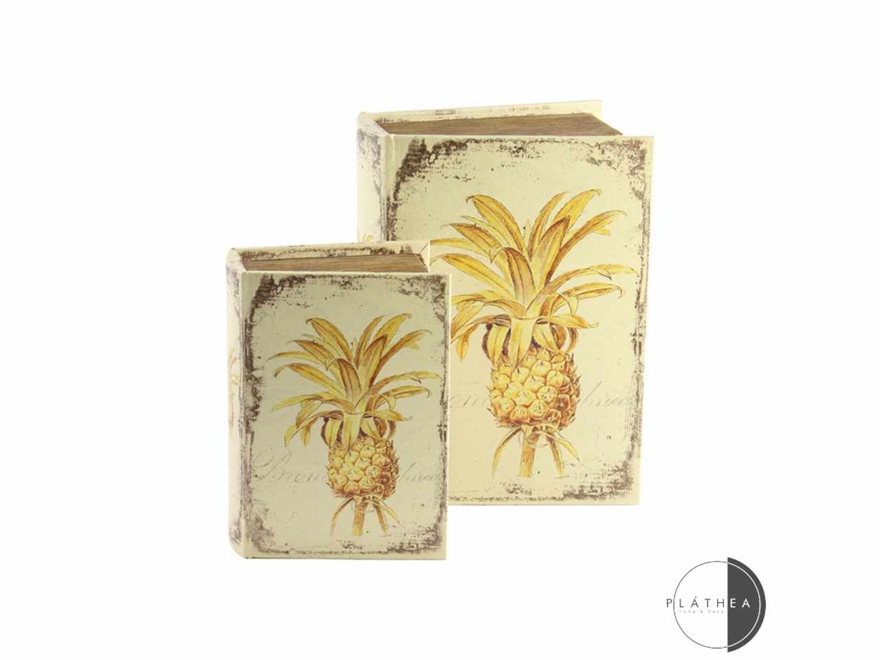 Ananas libro contenitore in legno 2 pezzi