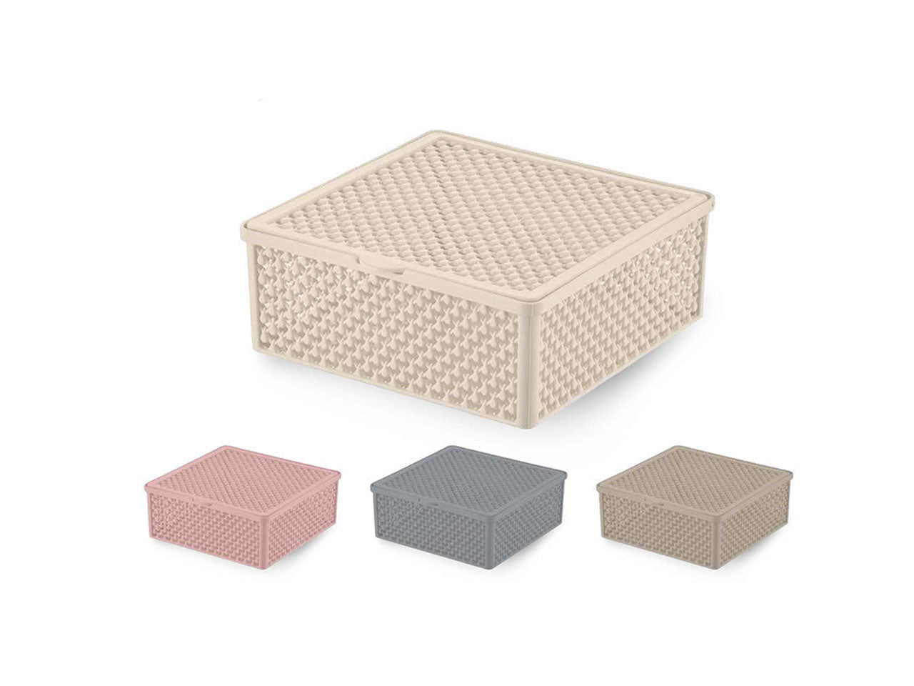 Scatola organizer con coperchio 18x18x7 cm in plastica 4 colori assortiti - Virtime