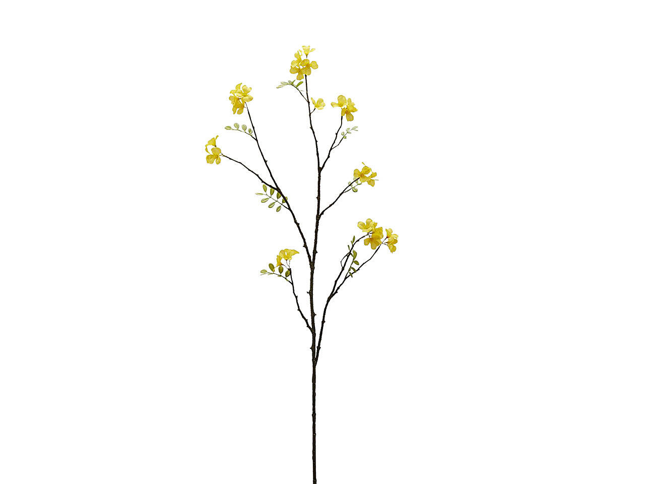 Gelsomino invern.ramo h.105cm 215707