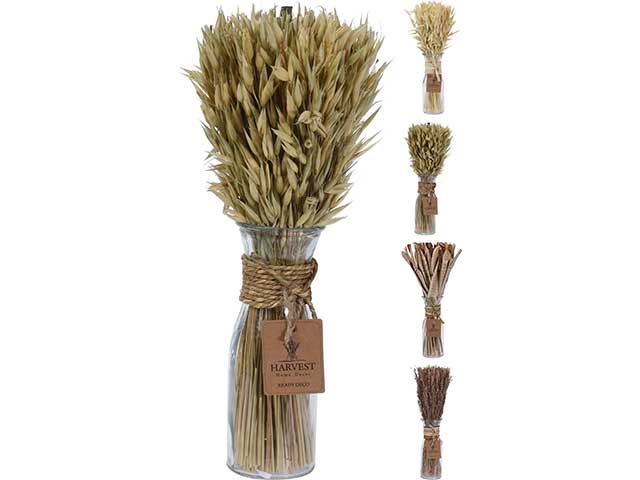 Spighe grano d22300010