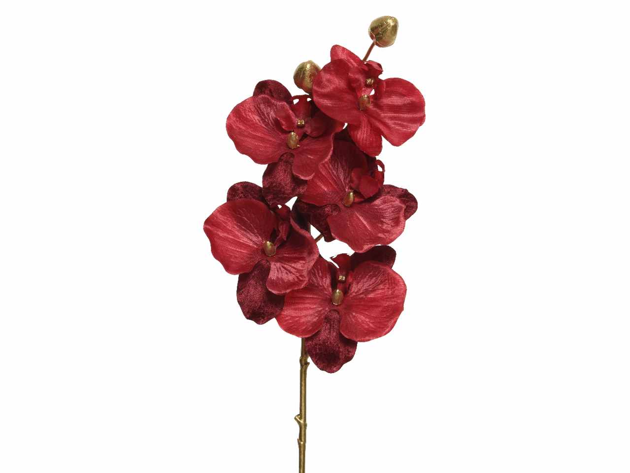 Orchidea 15x6x71cm rossa