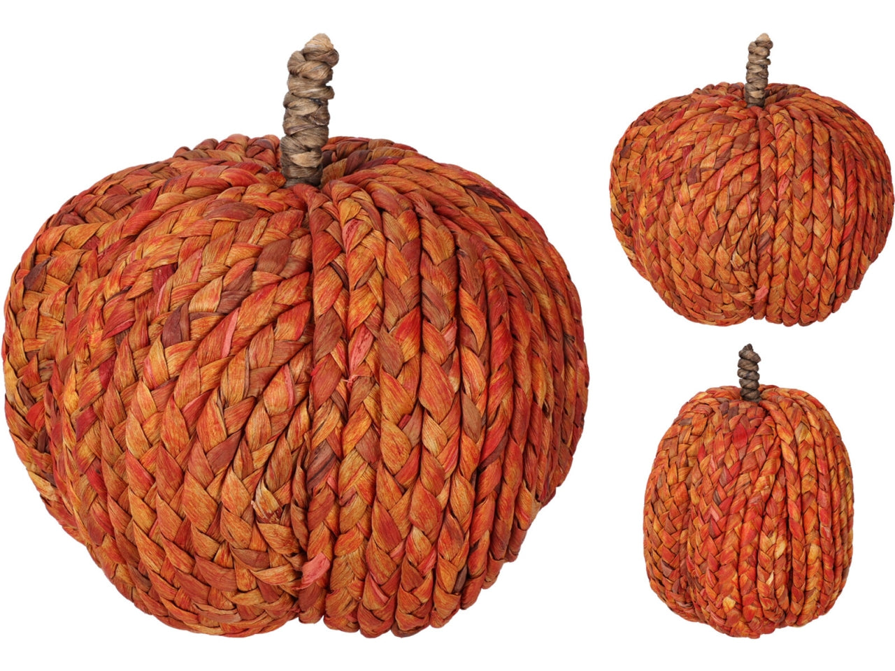 Zucca arancione 20cm in 2 assortimenti