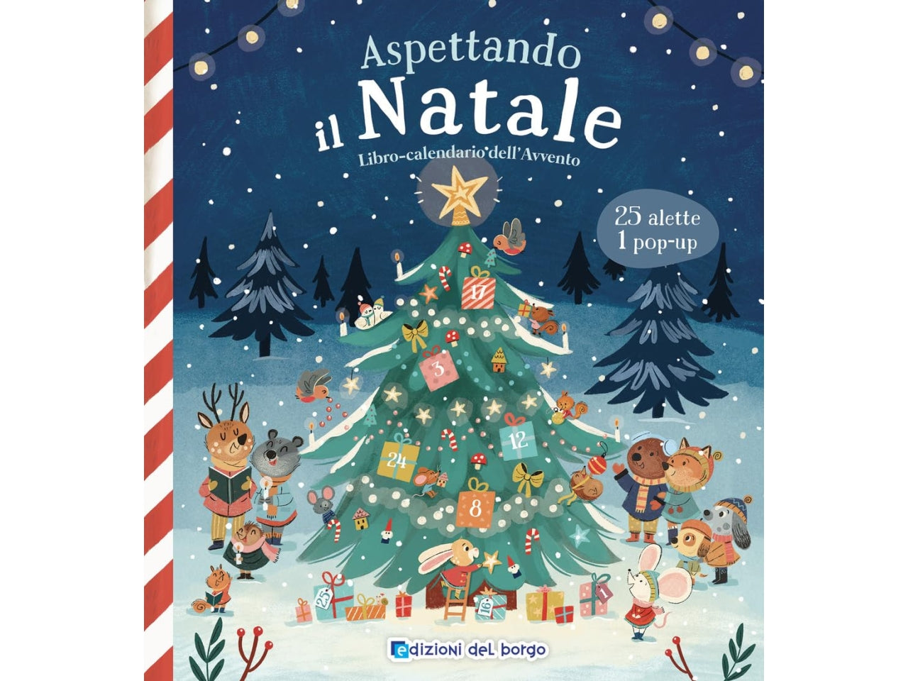 Libro aspettando natale