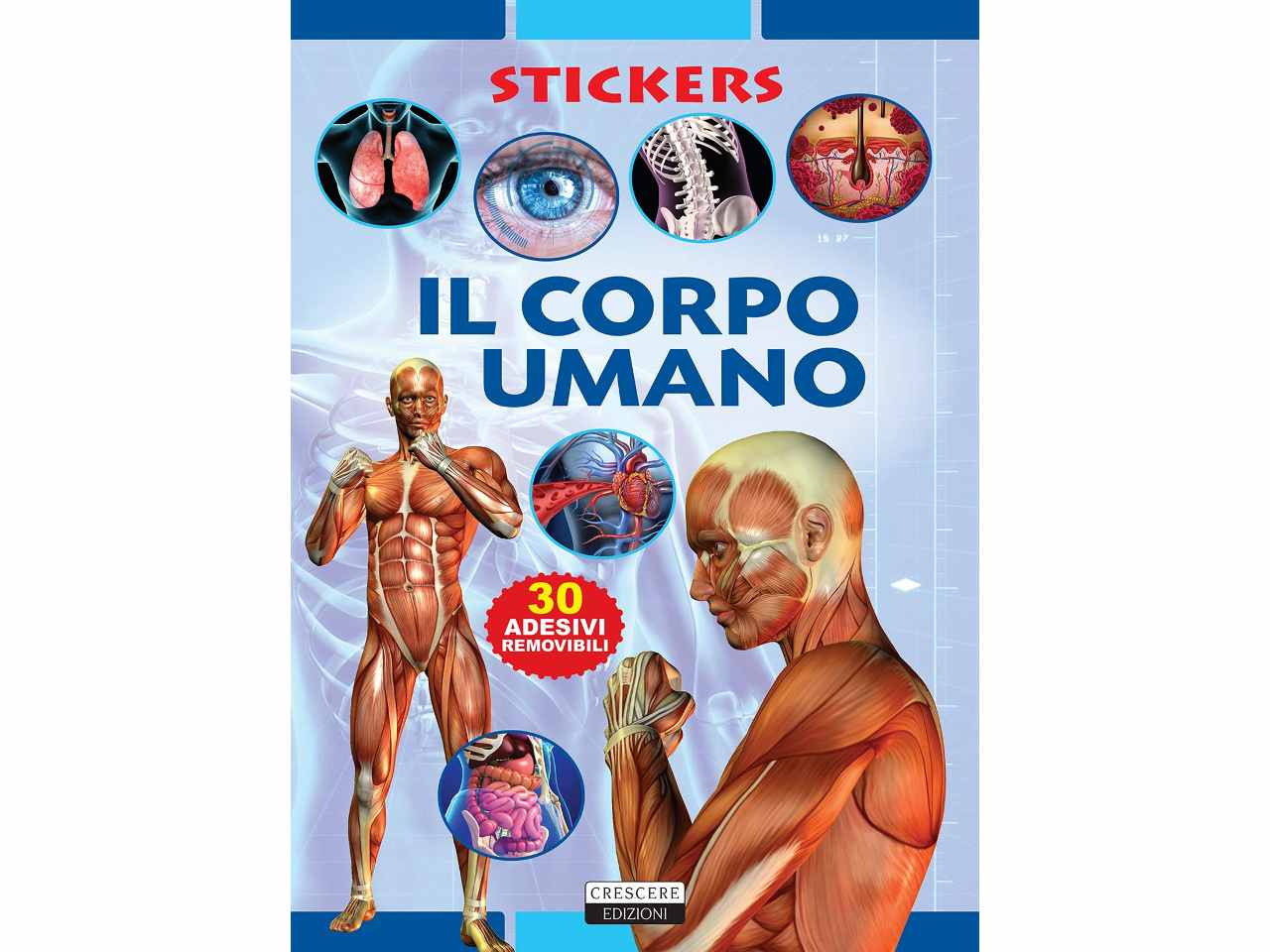 Libro con stickers