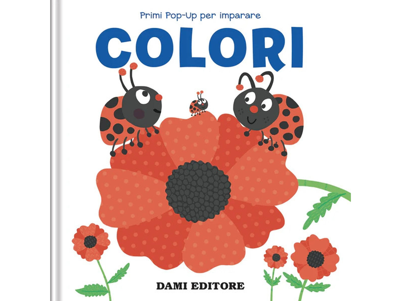Libro colori