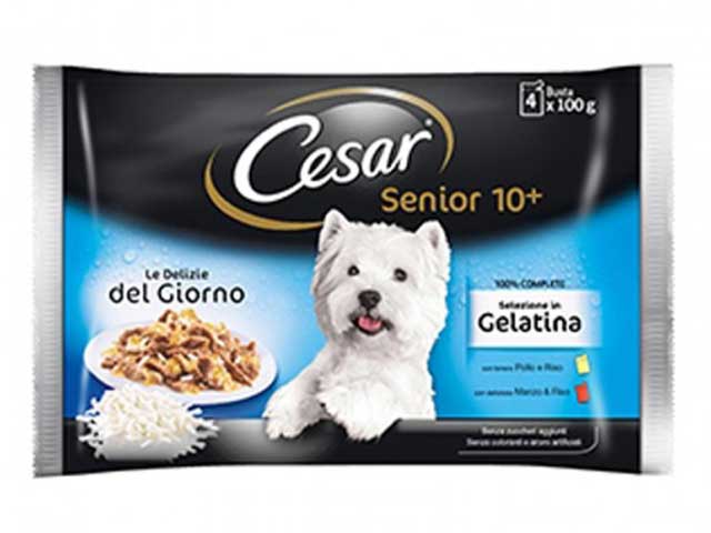 Cesar busta mpack senior 4x100gr 14169