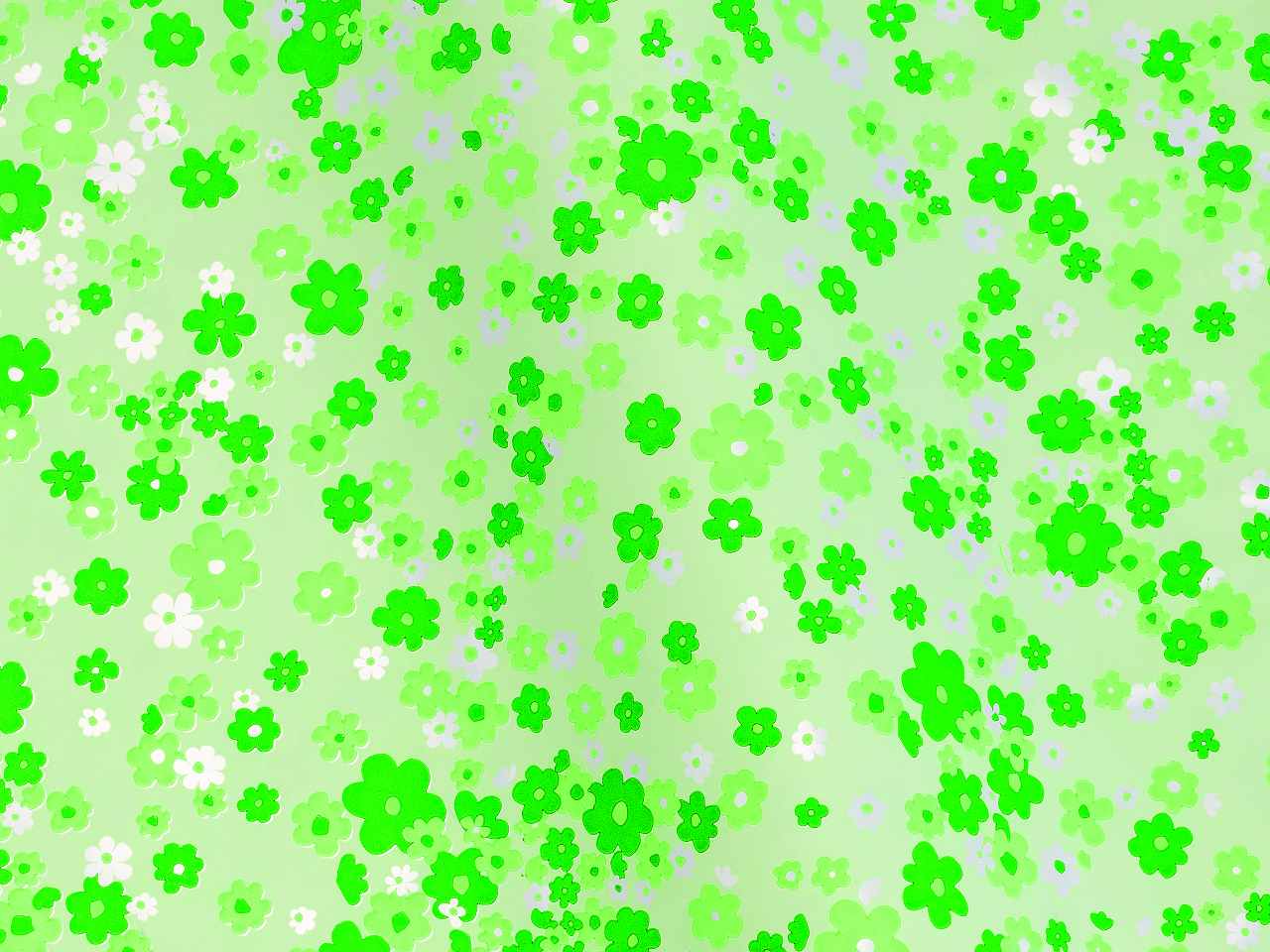 l.millefiori busta 40x65 50pz udi44pcck9o00
