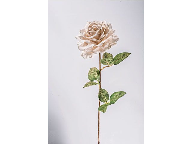 rosa singola beige  n15568
