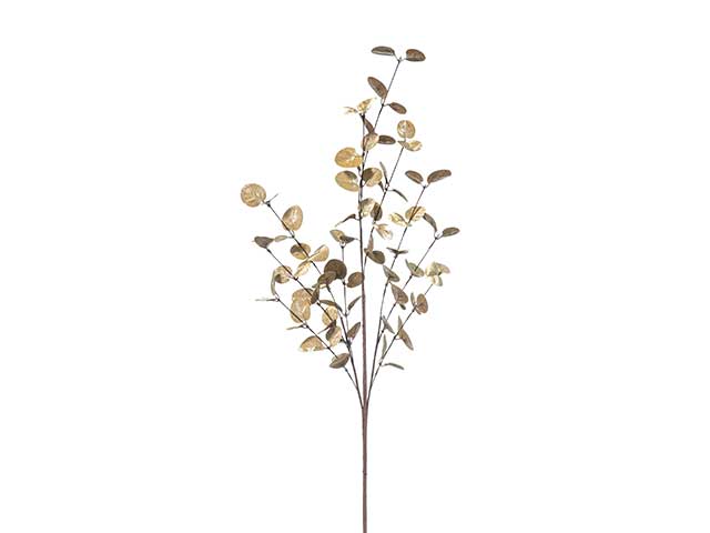 tralcio eucalypto oro n21740