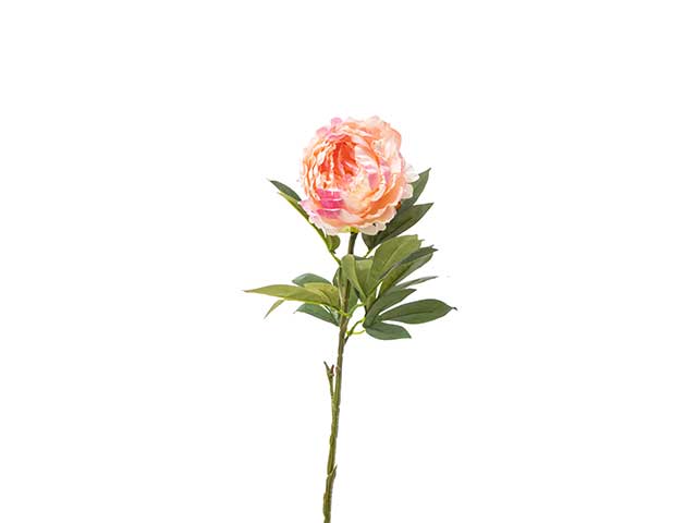 peonia 71cm rosa a22056