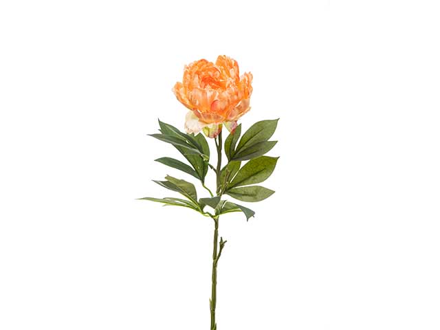 peonia 71cm salmone a22056