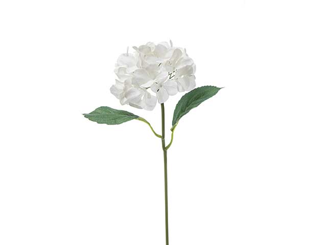 Ortensia bianca 62cm a22092