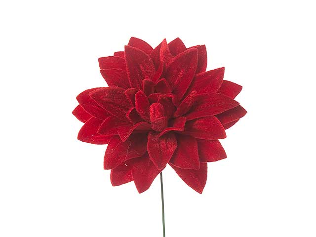 pick dalia deluxe rosso n22791