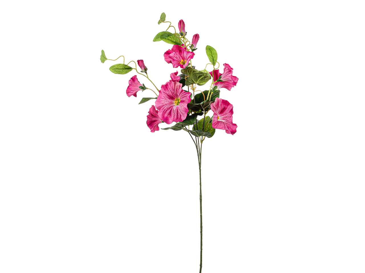 Tralcio di petunia 90cm beauty a26431