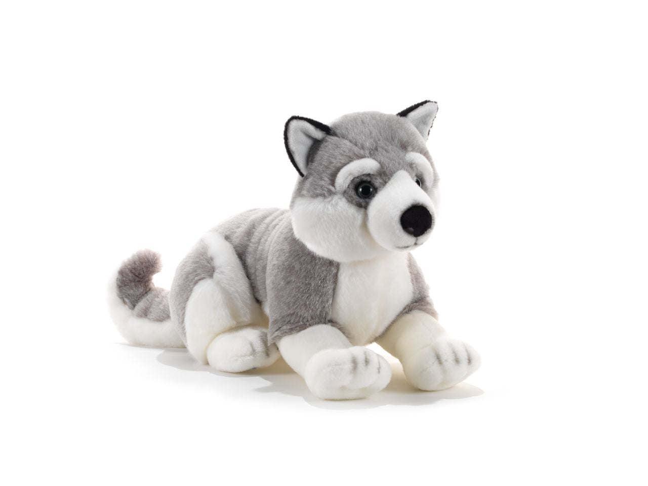 Peluche husky tomsky 15754