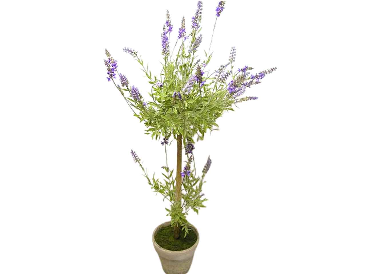 Lavanda 110cm ds000194
