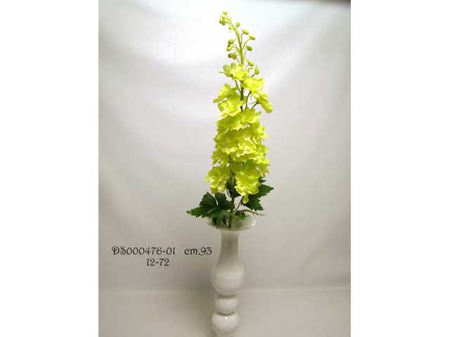 delphinium verde ds000476