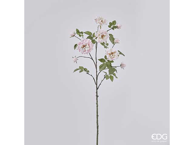 rosa 140cm 214627.51