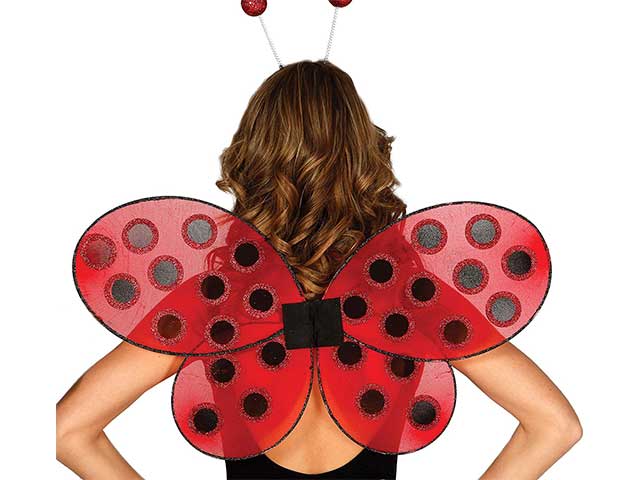 Ali coccinella 63x41